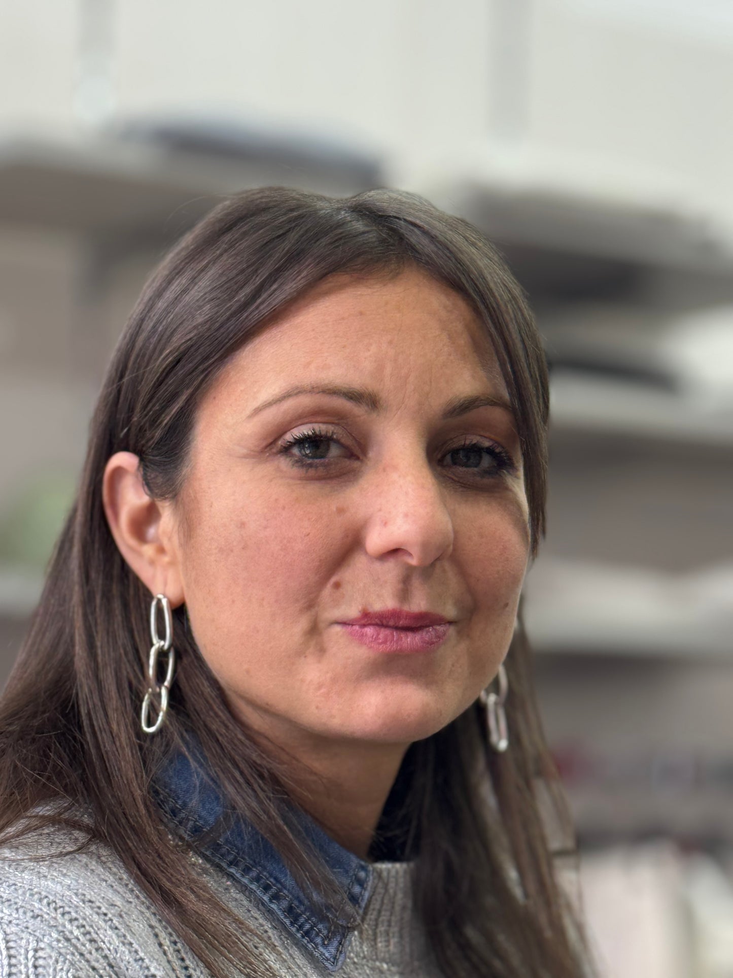 Orecchini catena argento