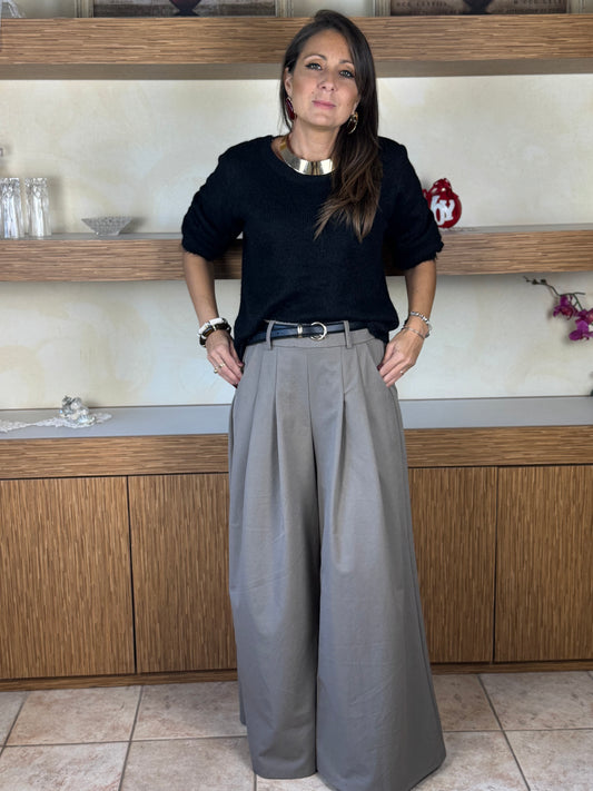 Pantalone pince topè